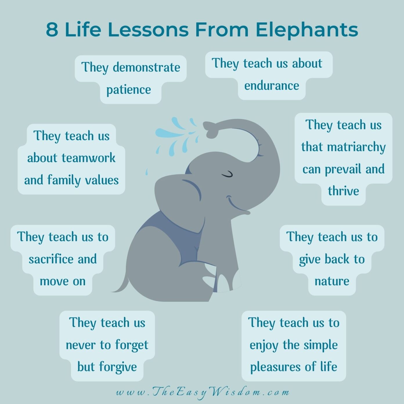 8 Life Lessons From Elephants That You Should Know