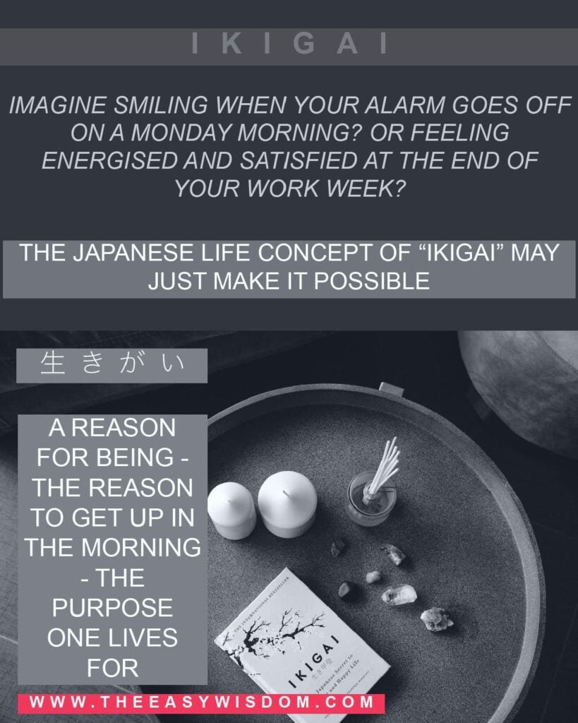 How to find your ikigai? www.theeasywisdom.com