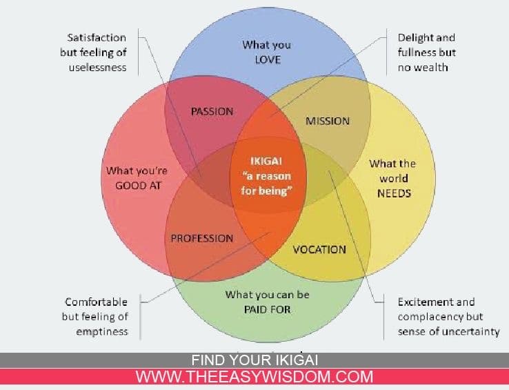 How to find your ikigai-the concept of ikigai-www.theeasywisdom.com