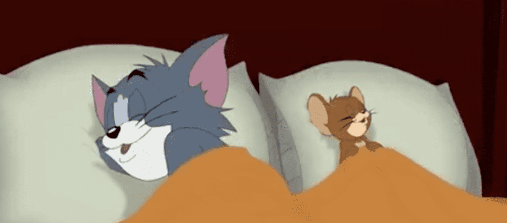 Food and Sleep are vital! Tom and Jerry bonding over sleep-www.theeasywisdom.com