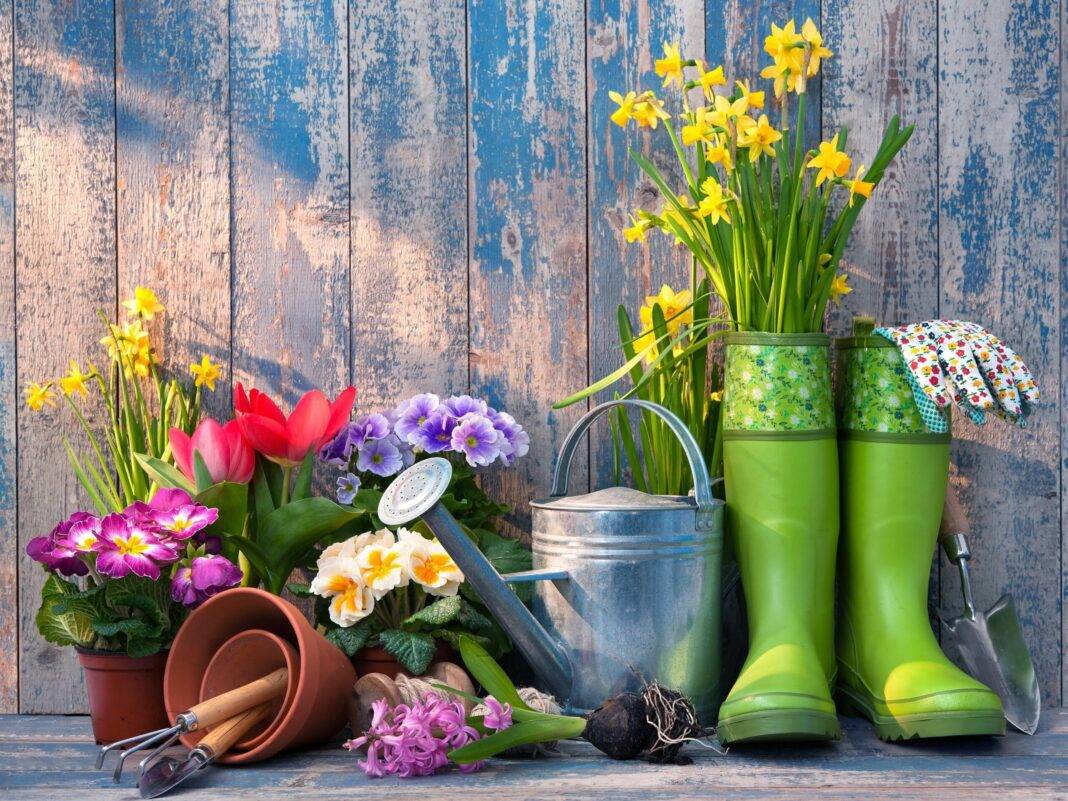 9 Reasons Why Gardening is Good for Your Health #WorldEnvironmentDay-The Easy Wisdom