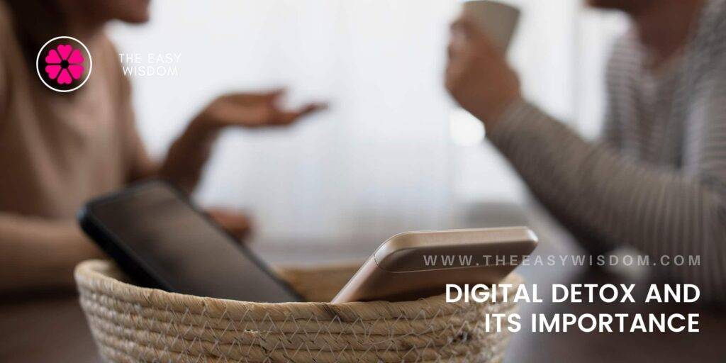 What is digital detox? 5 ways to do digital detox & improve digital wellness Infographics-The Easy Wisdom.