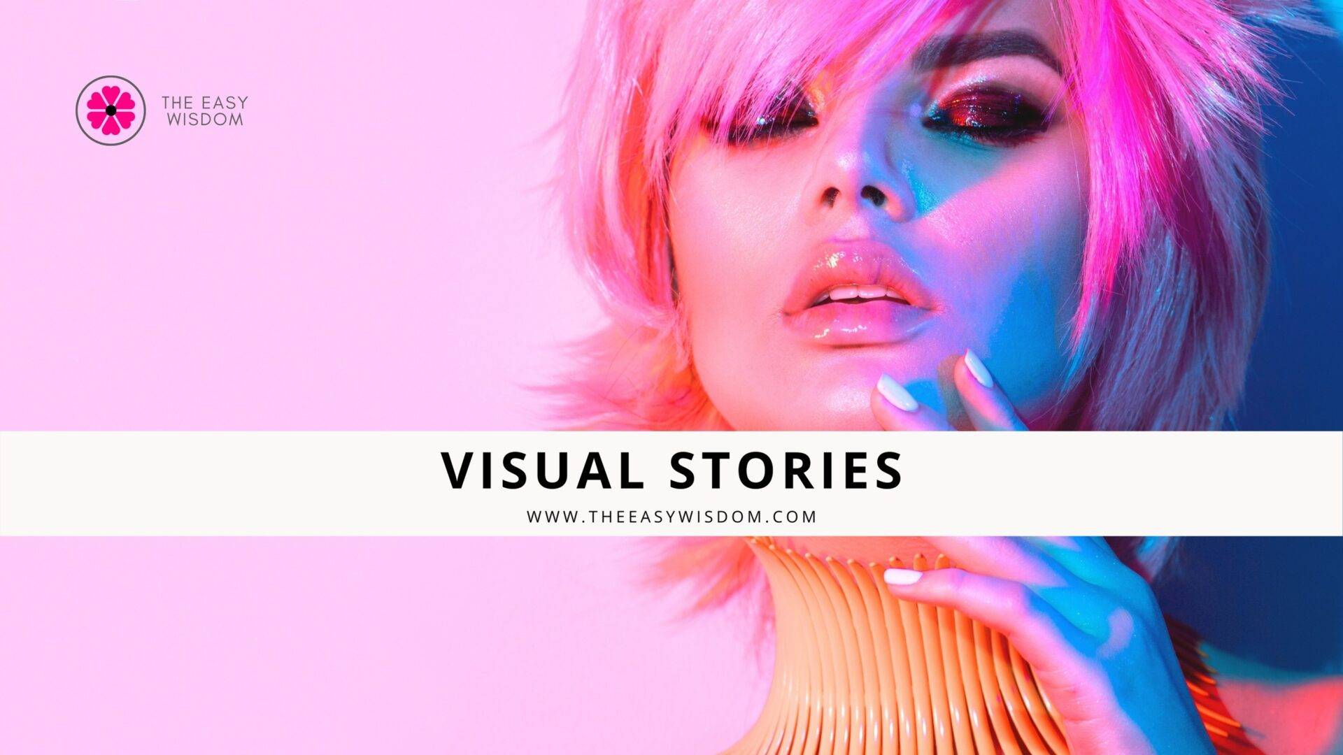 Visual Stories- Web Stories- www.theeasywisdom.com