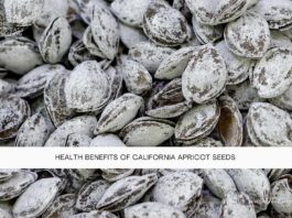 Health Benefits of California Apricot Seeds- The Easy Wisdom- www.TheEasyWisdom.com