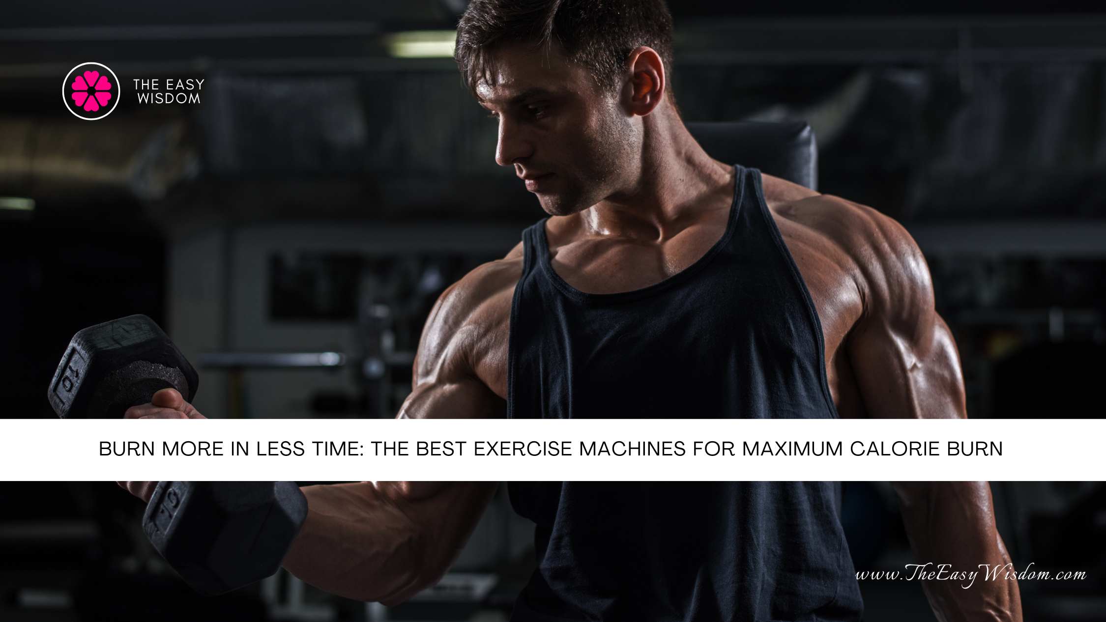 The Best Exercise Machines For Maximum Calorie Burn- The Easy Wisdom- www.TheEasyWisdom.com The Best Exercise Machines For Maximum Calorie Burn- The Easy Wisdom- www.TheEasyWisdom.com