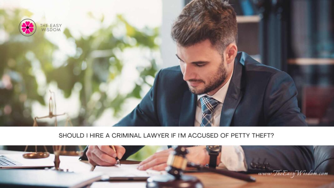 Should I Hire A Criminal Lawyer If I'm Accused of Petty Theft- The Easy Wisdom- www.TheEasyWisdom.com