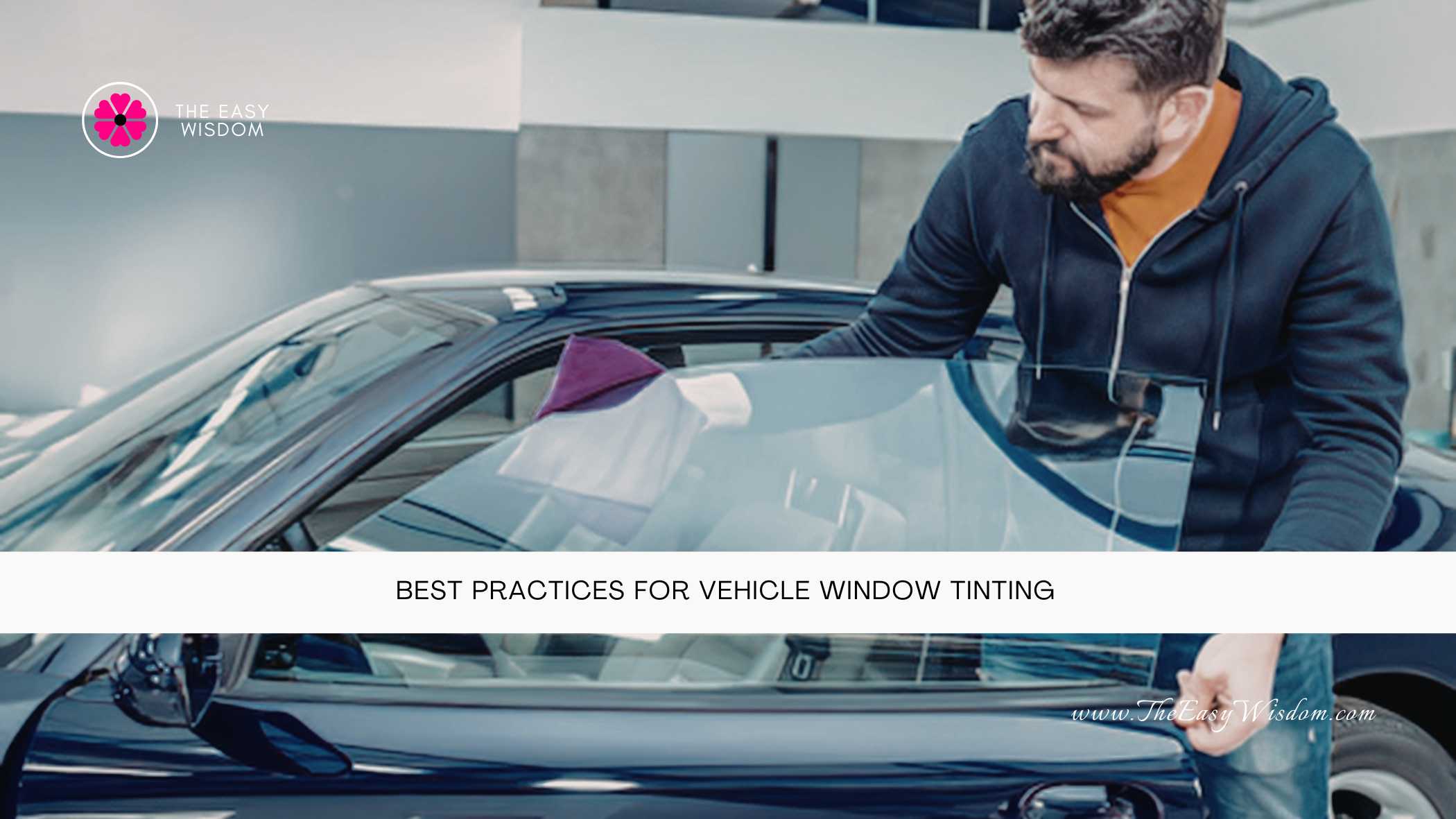 Best Practices for Vehicle Window Tinting- The Easy Wisdom- www.TheEasyWisdom.com Best Practices for Vehicle Window Tinting- The Easy Wisdom- www.TheEasyWisdom.com