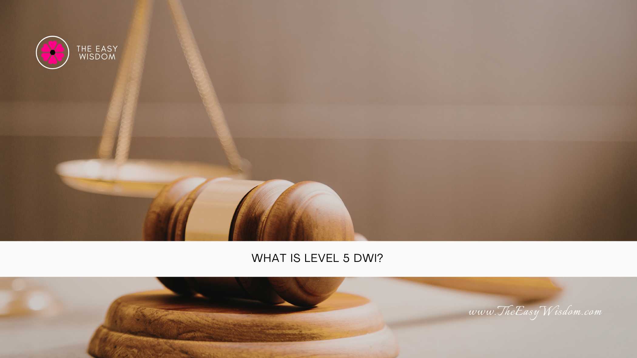 What Is Level 5 DWI- The Easy Wisdom- www.TheEasyWisdom.com What Is Level 5 DWI- The Easy Wisdom- www.TheEasyWisdom.com