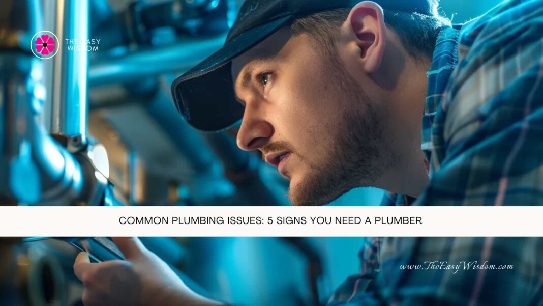 Common Plumbing Issues 5 Signs You Need a Plumber- The Easy Wisdom- www.TheEasyWisdom.com