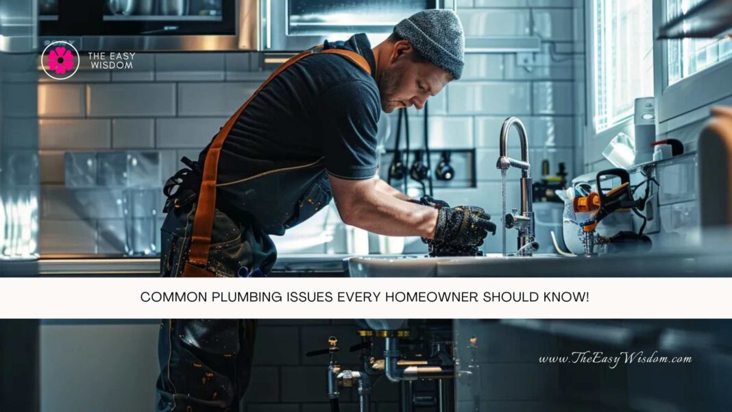 Common Plumbing Issues Every Homeowner Should Know- The Easy Wisdom- www.TheEasyWisdom.com