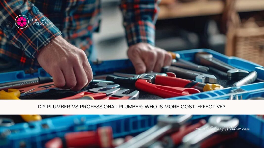 DIY Plumber vs Professional Plumber Who is More Cost-Effective- The Easy Wisdom- www.TheEasyWisdom.com