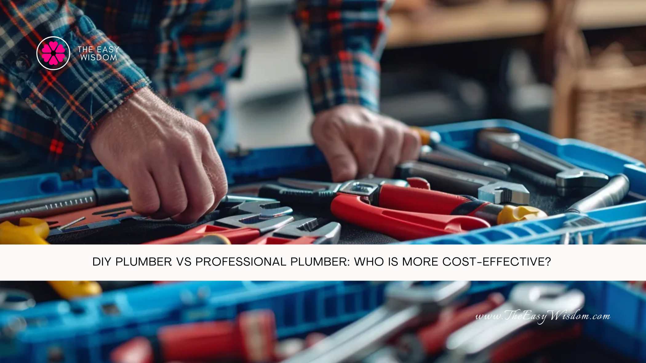 DIY Plumber vs Professional Plumber Who is More Cost-Effective- The Easy Wisdom- www.TheEasyWisdom.com DIY Plumber vs Professional Plumber Who is More Cost-Effective- The Easy Wisdom- www.TheEasyWisdom.com
