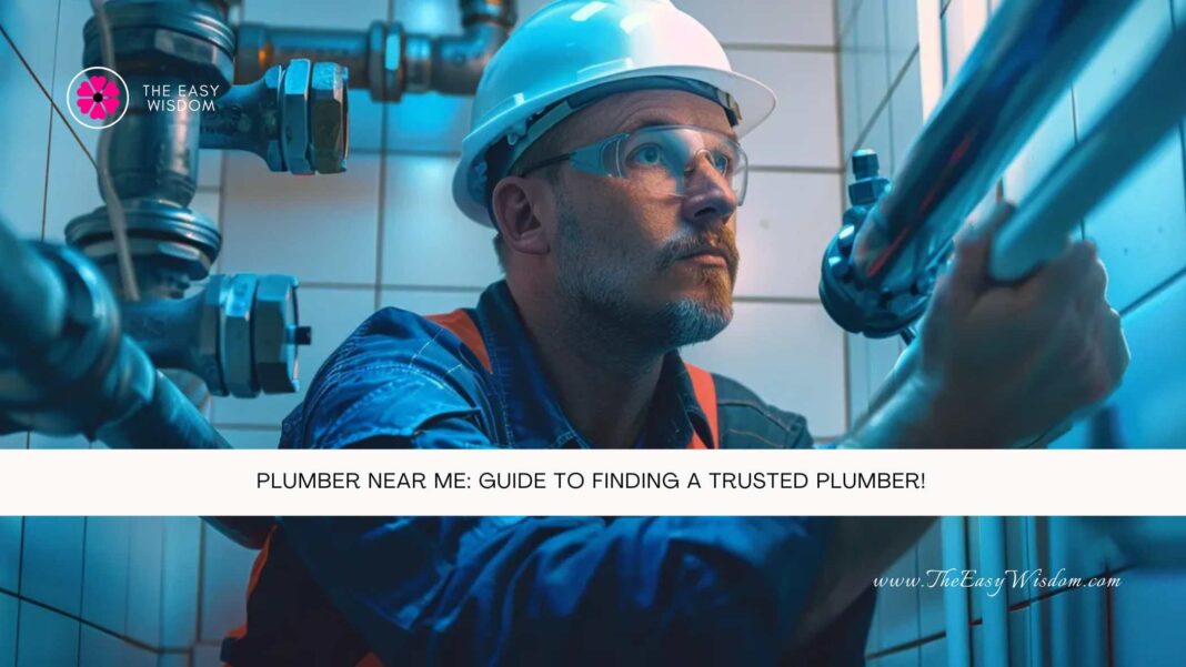 Plumber Near Me Guide to Finding a Trusted Plumber- The Easy Wisdom- www.TheEasyWisdom.com
