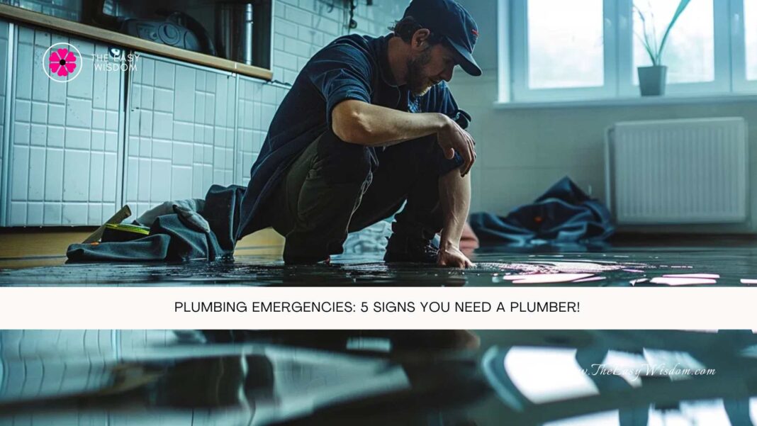 Plumbing Emergencies 5 Signs You Need a Plumber- The Easy Wisdom- www.TheEasyWisdom.com