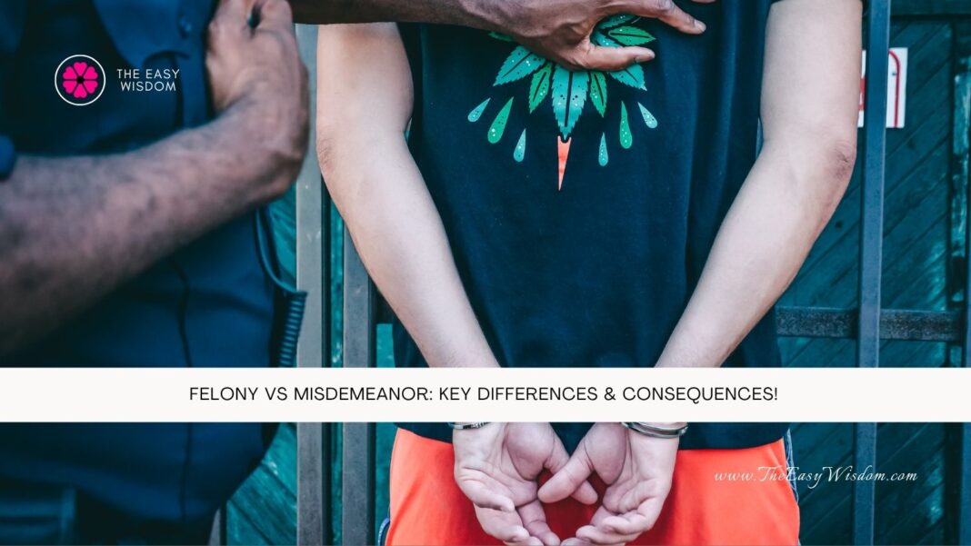 Felony vs Misdemeanor Key Differences & Consequences- The Easy Wisdom- www.TheEasyWisdom.com