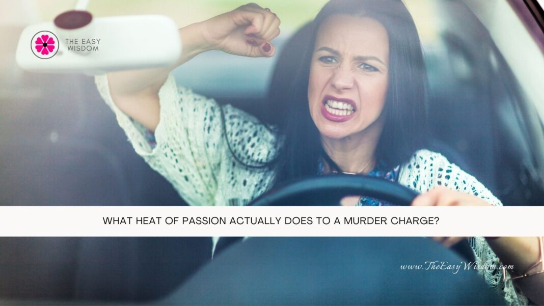 What Heat of Passion Actually Does to a Murder Charge- The Easy Wisdom- www.TheEasyWisdom.com